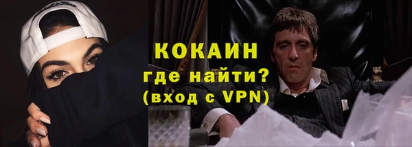 стаф Пересвет