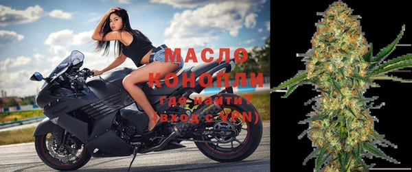 стаф Пересвет