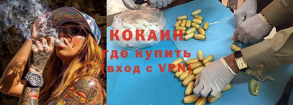 индика Алексеевка