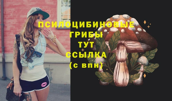 СК Алзамай